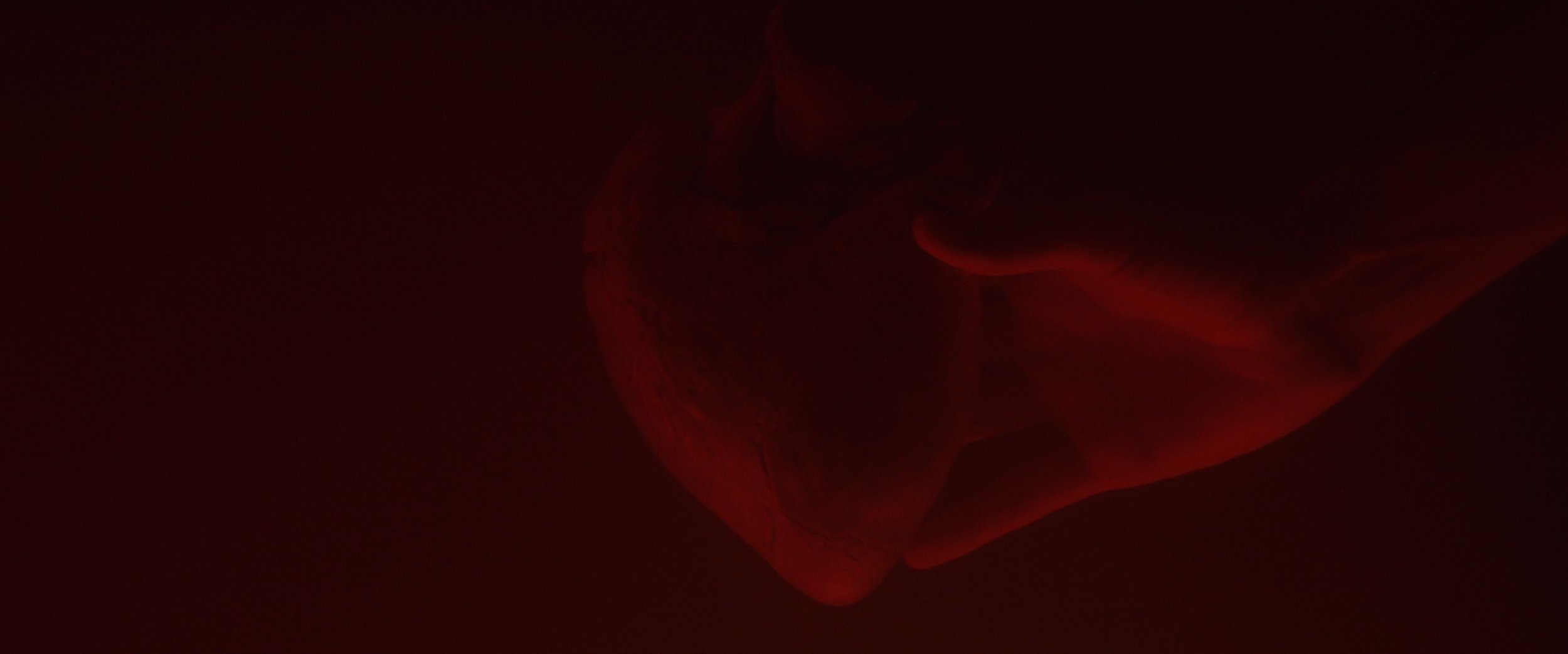 My Dear Boy - Narrative Short still 8